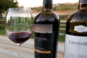 Franschhoek Tram Wine Tasting Full-Day Experience