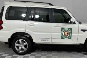 Из Кейптауна: 10-дневный тур в Йоханнесбург по Садовой дороге