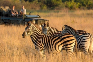 Au départ du Cap : 12 jours de grande aventure à Johannesburg