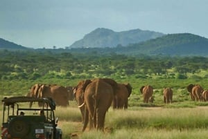 From Cape Town: 15-Day Great Adventure to Johannesburg