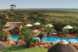 Fra Cape Town: 2-dagers safari på Garden Route Game Lodge