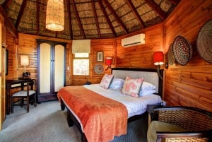 Fra Cape Town: 2-dagers safari på Garden Route Game Lodge
