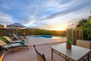 Fra Cape Town: 2-dagers safari på Garden Route Game Lodge