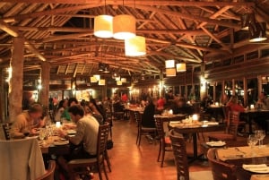 Fra Cape Town: 2-dagers safari på Garden Route Game Lodge