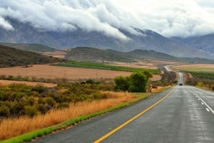 Saindo da Cidade do Cabo: Safári de 5 dias na Garden Route e Addo