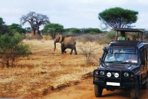 Ab Kapstadt: 5-tägige Kleingruppentour zur Garden Route