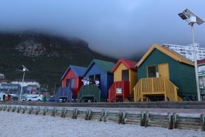 From Cape Town: Cape Point & Boulders Beach Full-Day Tour