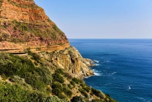 From Cape Town: Cape Point & Boulders Beach Full-Day Tour