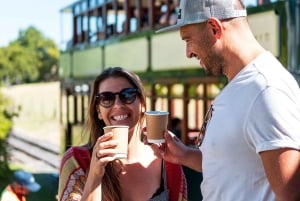 From Cape Town: Franschhoek Wine Tram Hop-on Hop-off