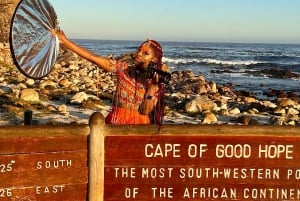 From Cape Town: Full-Day Cape Point & Boulders Beach Tour