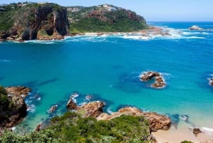 From Cape Town: Garden Route, Addo and Winelands 7-Day Tour
