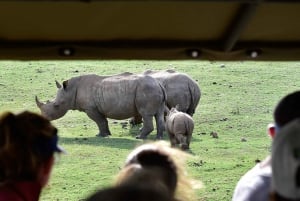 Vanuit Kaapstad: 3-daagse Tuinroute Highlights Tour & Safari