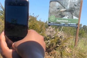 Da Cidade do Cabo: TOUR ROTA DOS JARDINS - 3 DIAS