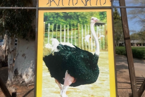 Da Cidade do Cabo: TOUR ROTA DOS JARDINS - 3 DIAS