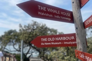 Au départ du Cap : TOUR DE LA ROUTE DES JARDINS - 3 JOURS