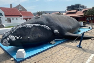 Au départ du Cap : TOUR DE LA ROUTE DES JARDINS - 3 JOURS