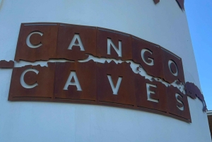 Au départ du Cap : TOUR DE LA ROUTE DES JARDINS - 3 JOURS