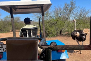 Au départ du Cap : TOUR DE LA ROUTE DES JARDINS - 3 JOURS