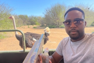 Au départ du Cap : TOUR DE LA ROUTE DES JARDINS - 3 JOURS