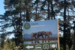 Au départ du Cap : TOUR DE LA ROUTE DES JARDINS - 3 JOURS