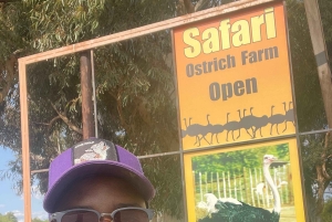 Au départ du Cap : TOUR DE LA ROUTE DES JARDINS - 3 JOURS