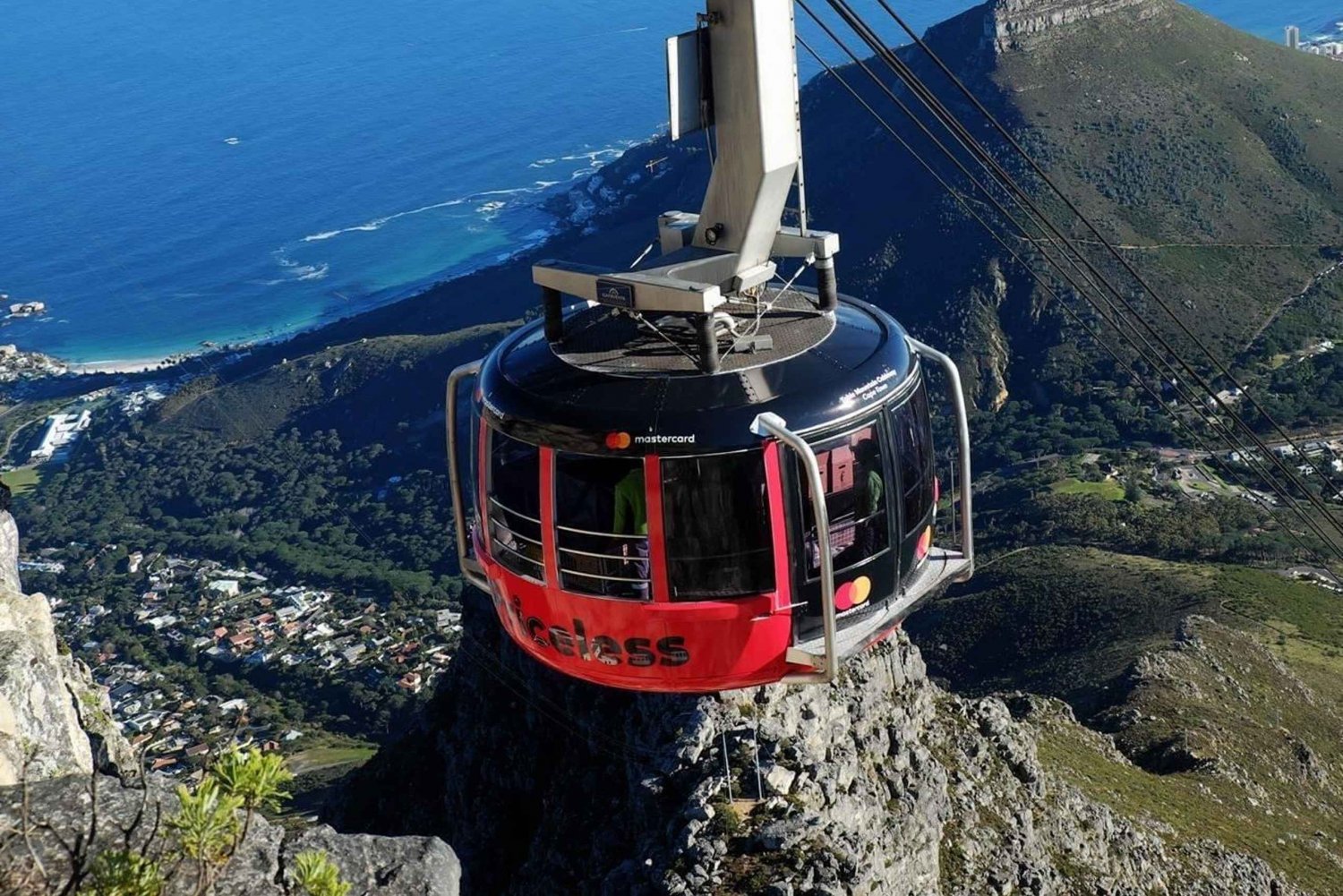 From Cape Town: Table Mountain City tour and Boulders Beach
