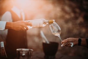 Från Kapstaden: Winelands dagsutflykt och vinprovning