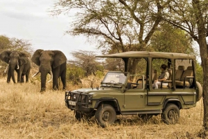 Da Città del Capo: tour di 12 giorni a Johannesburg con alloggio