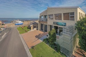 From Hermanus or Cape Town: Shark Cage Diving Experience