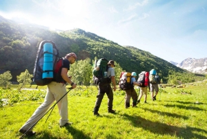 Fra Johannesburg: 12-dagers safari til Cape Town via Durban