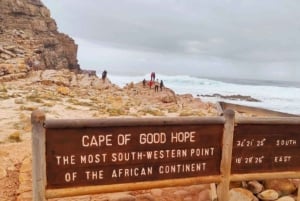 Garden Route Tour nach Kapstadt [5 Tage] : Port Elizabeth