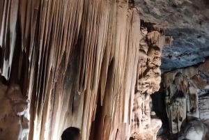 Garden Route Tour nach Kapstadt [5 Tage] : Port Elizabeth