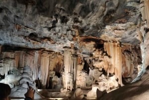 Garden Route Tour nach Kapstadt [5 Tage] : Port Elizabeth