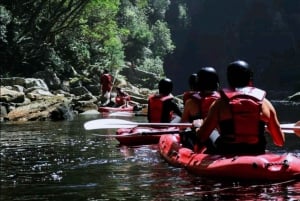 Garden Route Tour nach Kapstadt [5 Tage] : Port Elizabeth