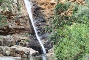Garden Route Tour nach Kapstadt [5 Tage] : Port Elizabeth