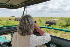 Full-Day Addo Elephant National Park All Inclusive Safari