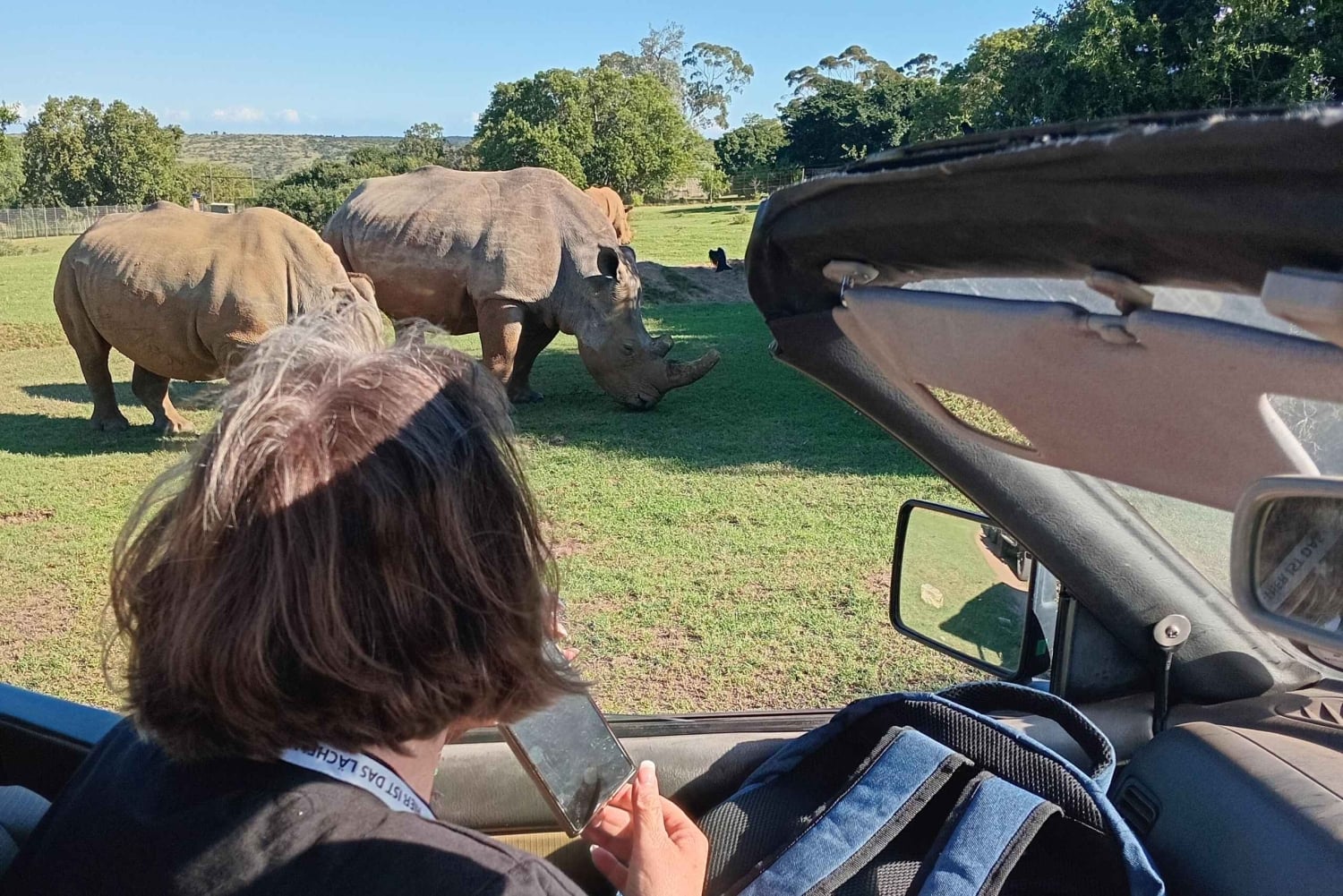 Однодневное сафари со слонами в Аддо и экскурсия по городу Порт-Элизабет