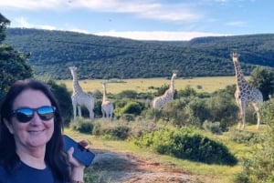 Full-Day Schotia Game Reserve & Giraffe Walk