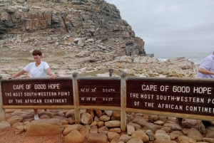 Visite d'une jounée de la Montagne de la Table et du Cap de Bonne Espérance