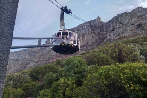Visite d'une jounée de la Montagne de la Table et du Cap de Bonne Espérance