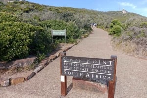 Visite d'une jounée de la Montagne de la Table et du Cap de Bonne Espérance