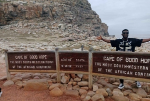 Visite d'une jounée de la Montagne de la Table et du Cap de Bonne Espérance