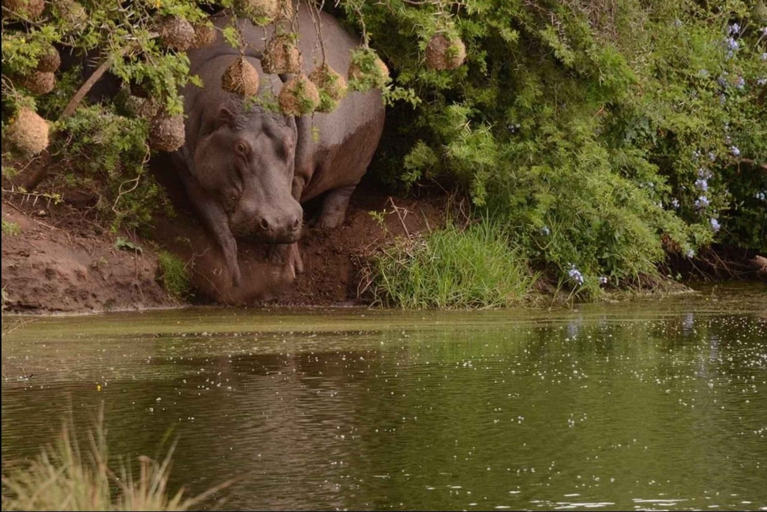 Дорога садов: индивидуальная экскурсия с гидом