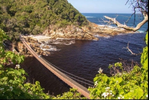 Garden Route : visite privative personnalisable avec guide