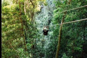 Garden Route : visite privative personnalisable avec guide