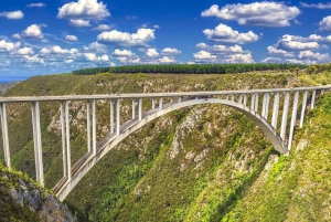 Garden Route : visite privative personnalisable avec guide