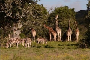 Дорога садов: индивидуальная экскурсия с гидом