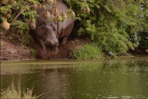 Дорога садов: индивидуальная экскурсия с гидом