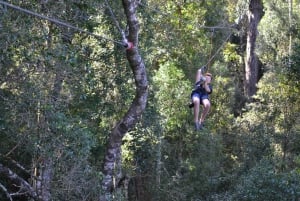 Garden Route National Park: Tsitsikamma Zipline Canopy Tour