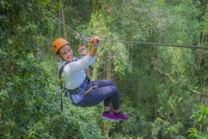 Garden Route National Park: Tsitsikamma Zipline Canopy Tour